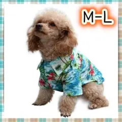 Item thumbnail for item 2836b6fc-b2c2-472f-aae7-21a7141c2da8