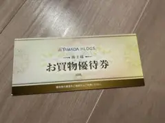 ヤマダ電機 5000円分株主お買物優待券