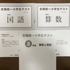 【未使用品】全国統一小学生テスト3年生2022年6月