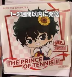 新テニスの王子様 中国限定 ポップアップ サマバレ SD 切原赤也 特典カード
