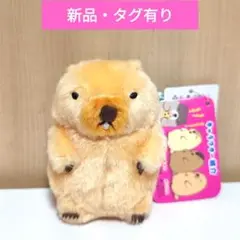 マーモットのもっとっと モア LMC ぬいぐるみ　第二弾　ボバくん