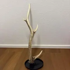 鹿の角 インテリア装飾品