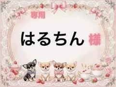 専用