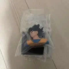 Item thumbnail for item 2294dbb2-4a70-44f8-9bf9-c53ce3d61a51