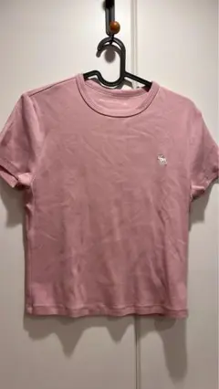 新品　定価5,000 アバクロ　Tシャツ