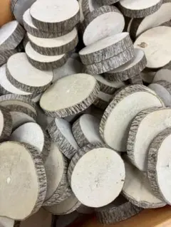 Item thumbnail for item c38c2721-d9d2-4c84-83d9-e9901f062075