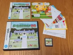 ダービースタリオン DS