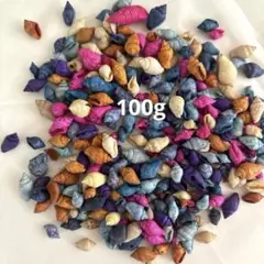 ナサシェル（小さな巻貝）シェルパーツ【約1.0～1.5㎝】100g