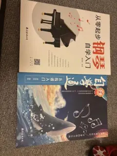 从零起步学钢琴自学入门 臧翔翔 零基础练习曲集曲谱教程教材书籍