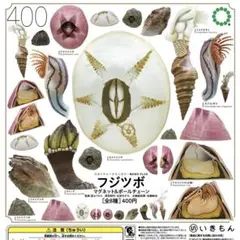 【未開封・コンプ】フジツボ マグネット BC ネイチャーテクニカラー ガチャ
