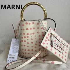 ✨️激レア 極美品✨️ MARNI パニエ 水玉 ショルダーバッグ 2way