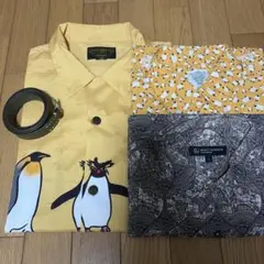 Item thumbnail for item b07d16b6-f3de-4100-9526-5b84543c790b