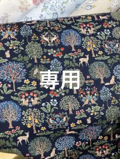専用