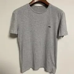 Lacoste ラコステ グレー Tシャツ S相当