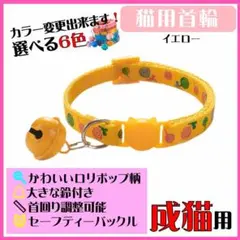 Item thumbnail for item 643c0e89-b1b6-41e0-84ef-7ca406bf58c4