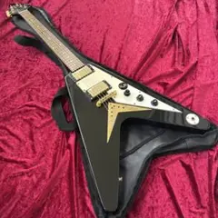 photogenic flying-v フォトジェニック フライングV｜ギター