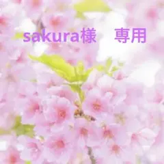 2025年最新】ワールドレップサービス ストーンの人気アイテム