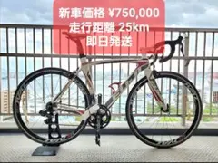 【正月特価•高級モデル】FUJI SST 2.0 Ultegra Di2