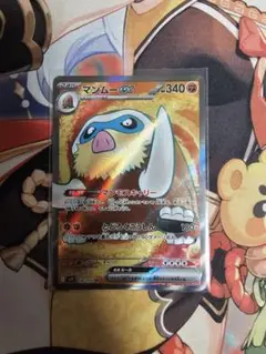 マンムーex SR