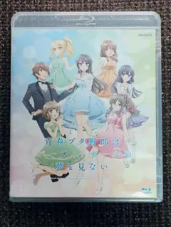 青春ブタ野郎はパーティーガールの夢を見ない Blu-ray