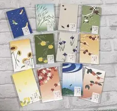 和紋　ぽち袋　セット
