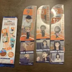 【他ブクマとのまとめ買いで少しのお値下げ◯】ハイキューブクマ2 烏野セット