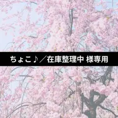 専用出品です
