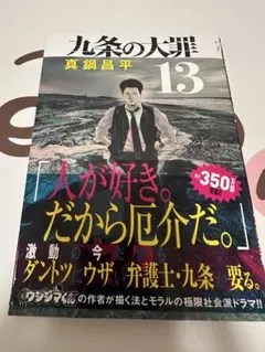 九条の大罪13
