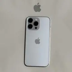 IPHONE 14 PRO MAX 256GB SIMフリー美品
