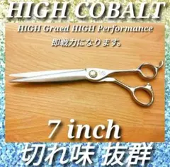 Item thumbnail for item ffe0fcd6-60ec-4fc0-94dd-4036531e80ad