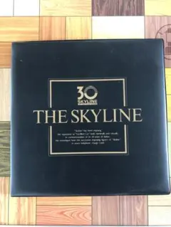 THE SKYLINE 30TH ANNIVERSARY