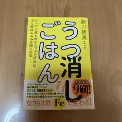 うつ消しごはん タンパク質と鉄をたっぷり摂れば心と体はみるみる軽くなる!