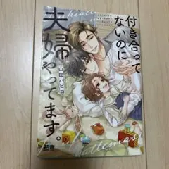 付き合ってないのに夫婦やってます。