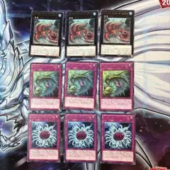 遊戯王　バージェストママーレラ　ディノミスクス　オパビニア　各3枚