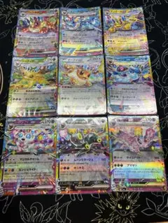【おまけ付き】ブイズRR セット