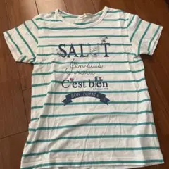 pom pinette ストライプ Tシャツ M 150