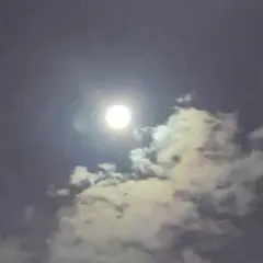 写真です