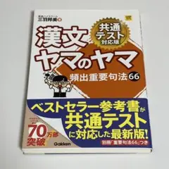 漢文ヤマのヤマ 共通テスト対応版 大学受験