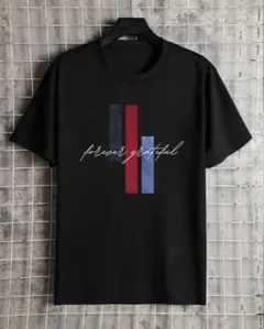 厚手のグラフィックTシャツ(サイズXL)