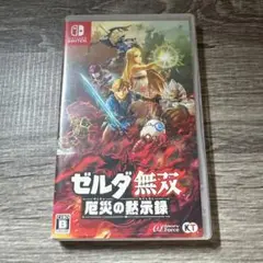 ゼルダ無双 厄災の黙示録