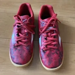 モナルシーダ 24 屋内用