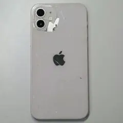 Item thumbnail for item ceb23709-6e77-411e-9313-3bfffd1e0d39