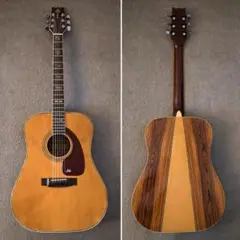 【長澤】TAKEHARU GUITAR FT-150 鈴木バイオリン製 長澤様 専用】TAKEHARU GUITAR FT-150 鈴木バイオリン製