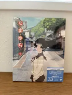 Item thumbnail for item e4fb02b6-4510-498d-808d-93f6ce17f2b4