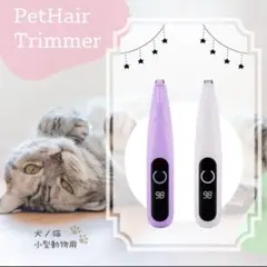 Item thumbnail for item 6601c688-94fe-4082-92b6-4d68aa7b95fa