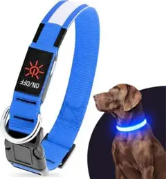 Item thumbnail for item ac59f61b-cd85-45a9-8d36-cb6c20d45b98