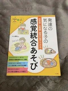 発達の気になる子の感覚統合あそび
