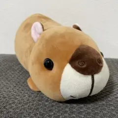 ハッピーズー　カピバラ　ぬいぐるみ　m7