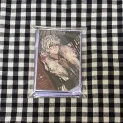 マツリカ　ゼベネラ　アクスタ　秋風商店