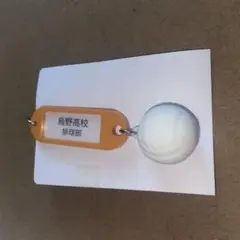 ハイキュー！！　烏野高校　鍵チャームキーホルダー